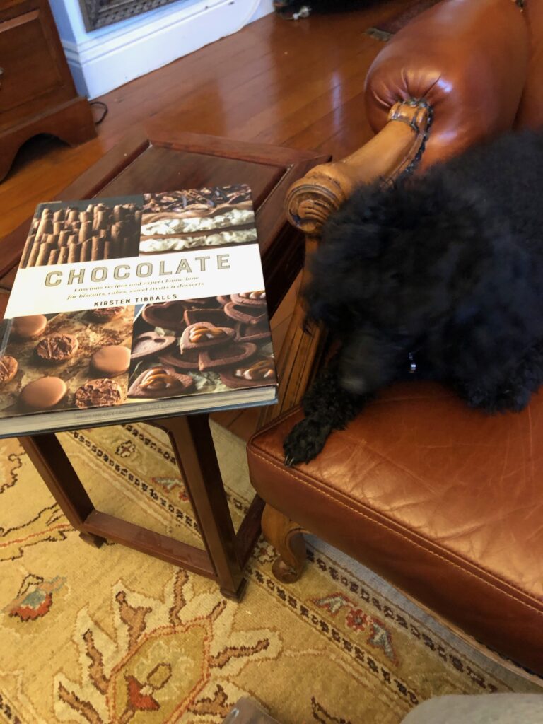 My dog Rosie sitting next to a copy of the book "Chocolate" by Kirsten Tibballs