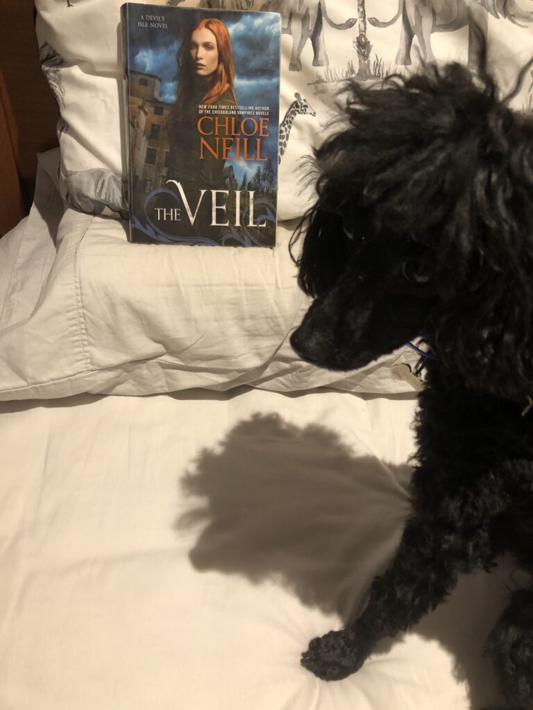 My dog Rosie sitting next to the book "The Veil" by Chloe Neill